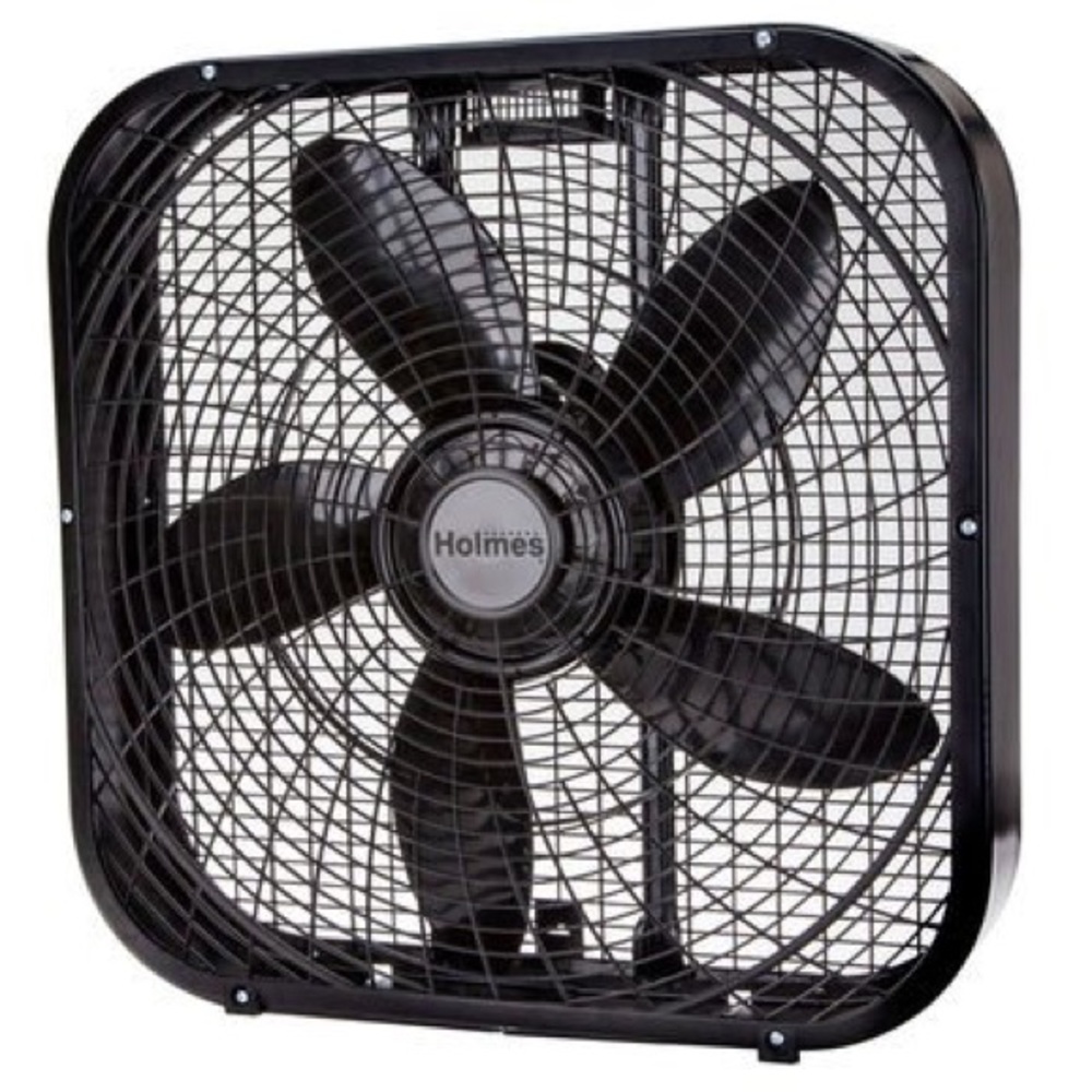Fan